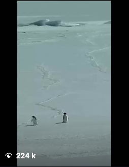 Video with 224K views